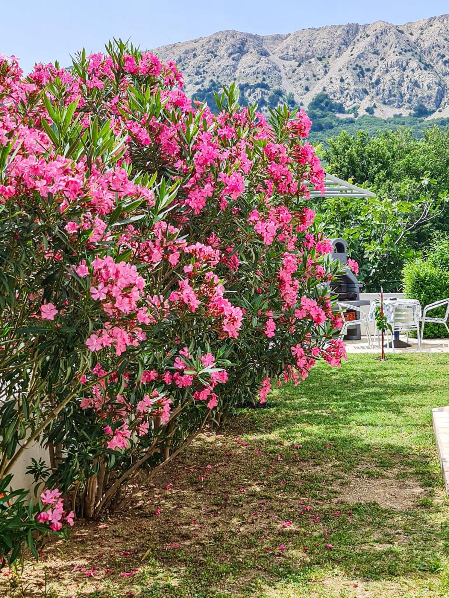 Apartments Benkovic Baška Εξωτερικό φωτογραφία